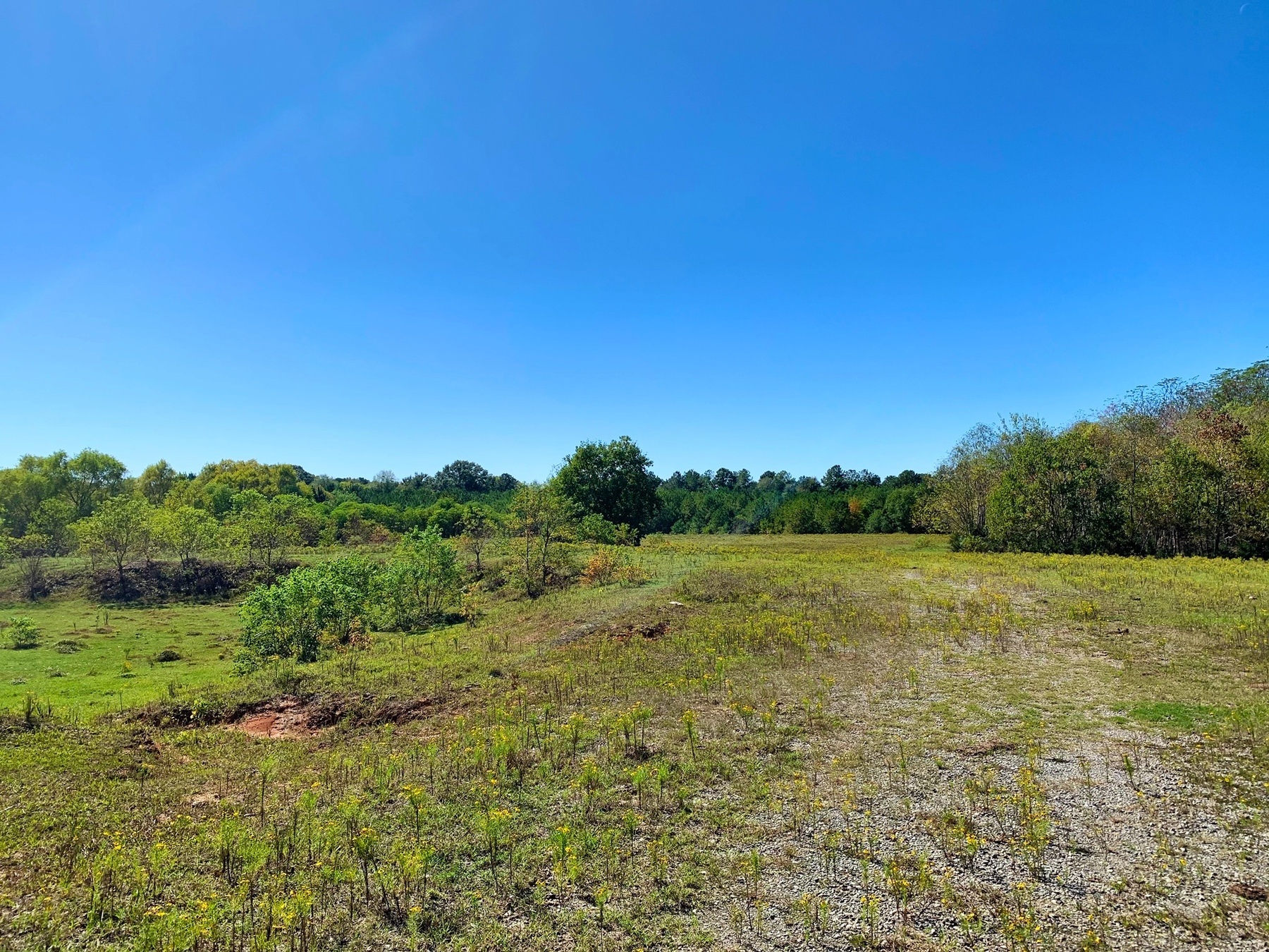 Brewer Road Property Land for Sale Alabama Land Company