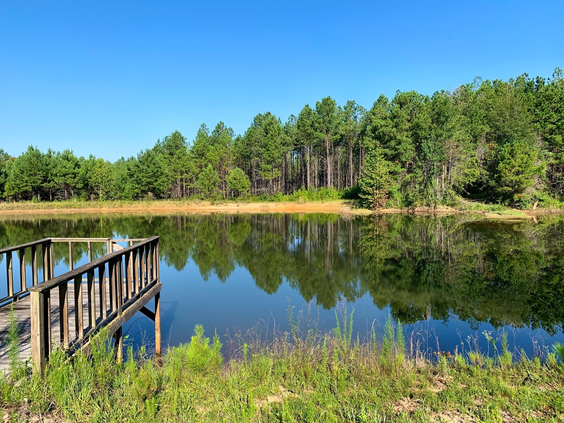 Midway, AL. Hwy 51 Tract | John Hall & Co