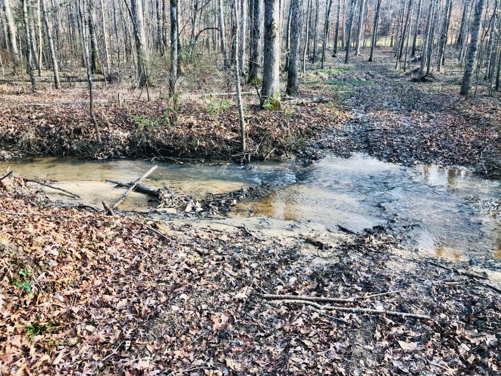 Wetland Reserve Easements (WRE) and Benefits to Landowners Land for Sale Alabama Land Company