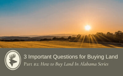 Three Questions For Buying Land