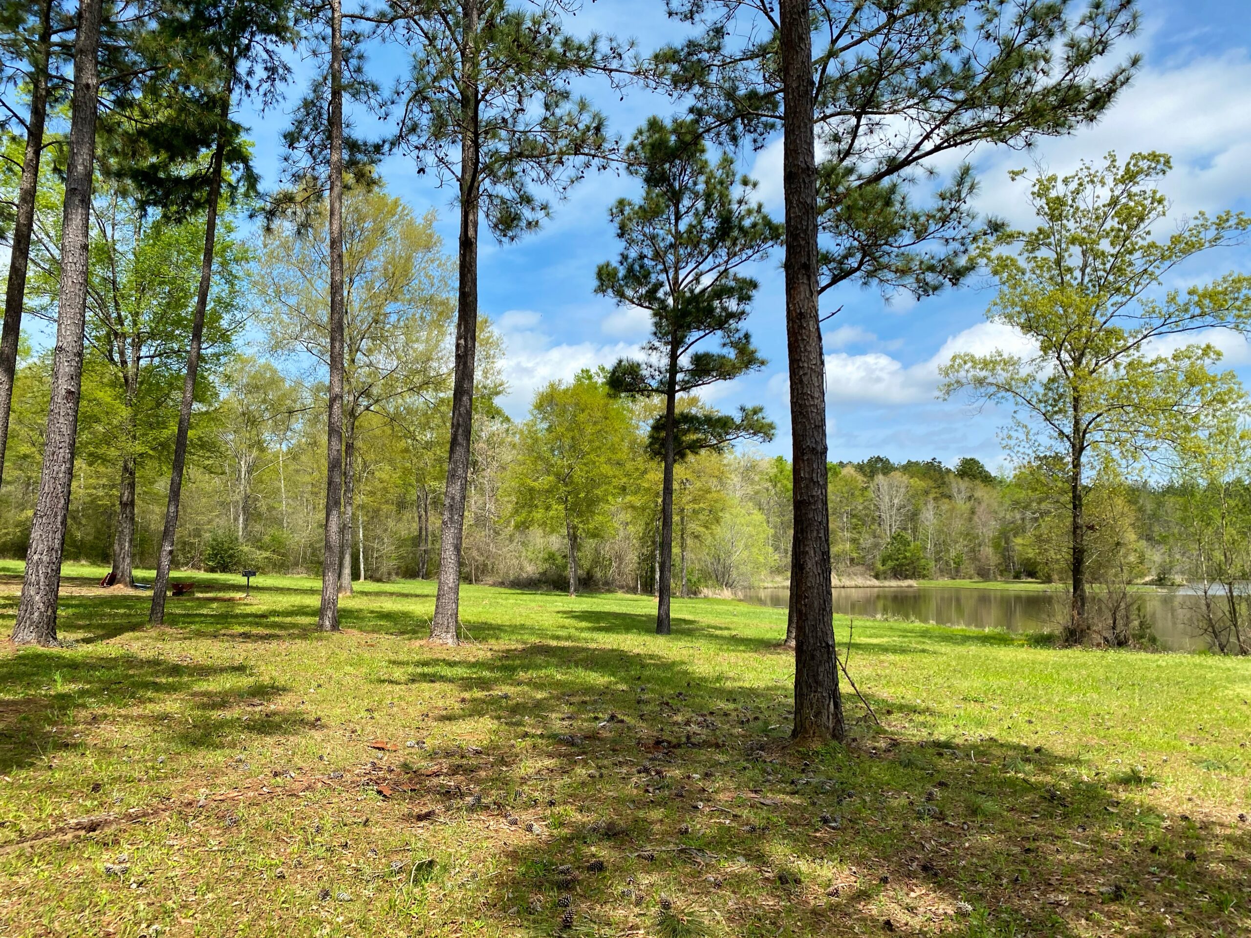 Lakeside Cabins & R/V Park - Land for Sale | Alabama Land ...