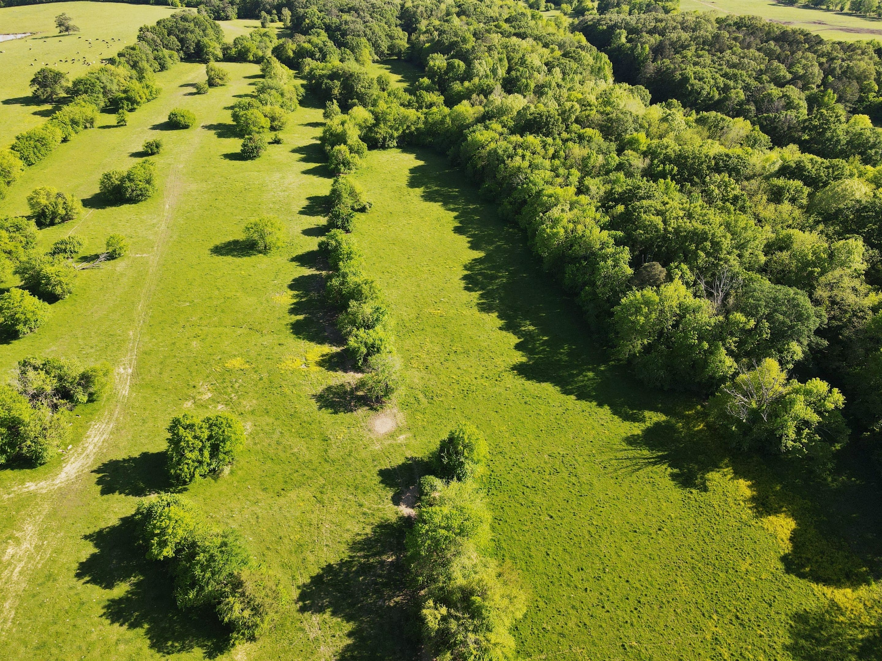E. Old Hayneville Road Tract Land for Sale Alabama Land Company