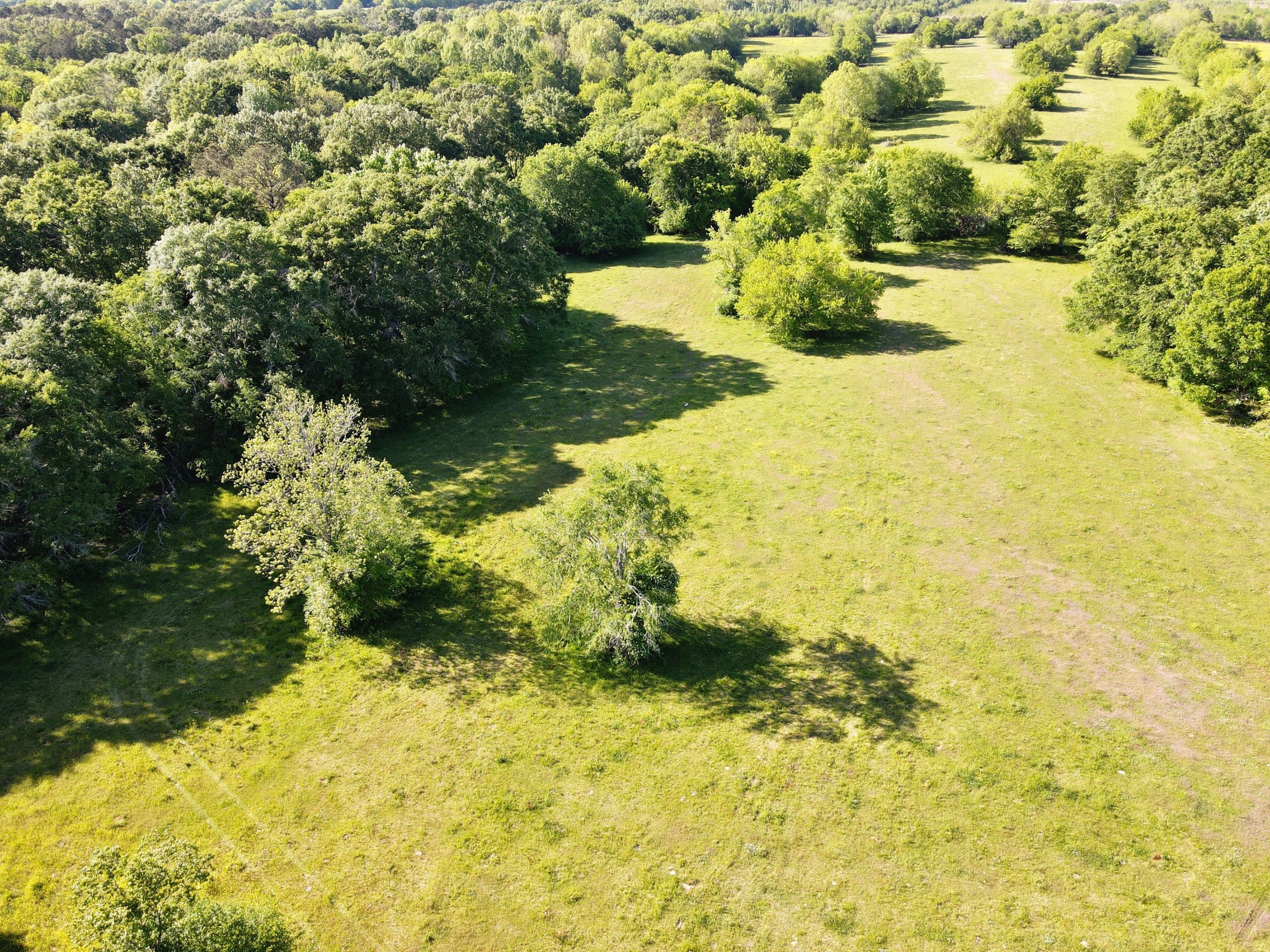 E. Old Hayneville Road Tract Land for Sale Alabama Land Company