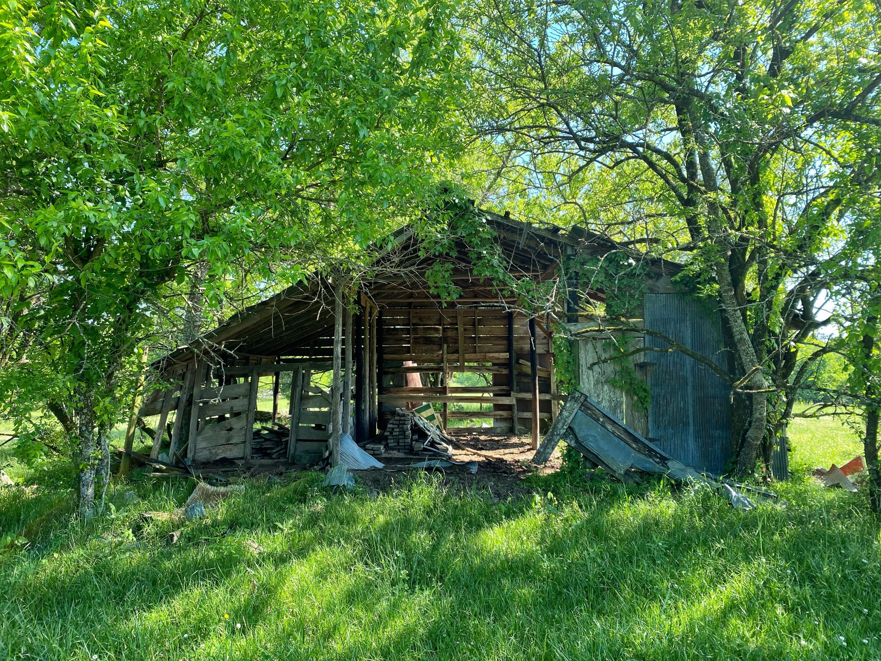 E. Old Hayneville Road Tract Land for Sale Alabama Land Company