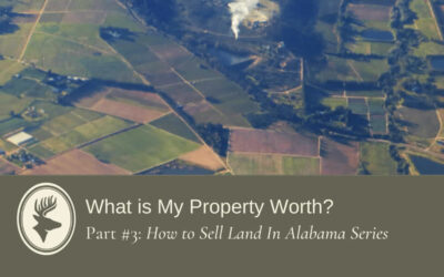 What Is My Property Worth?