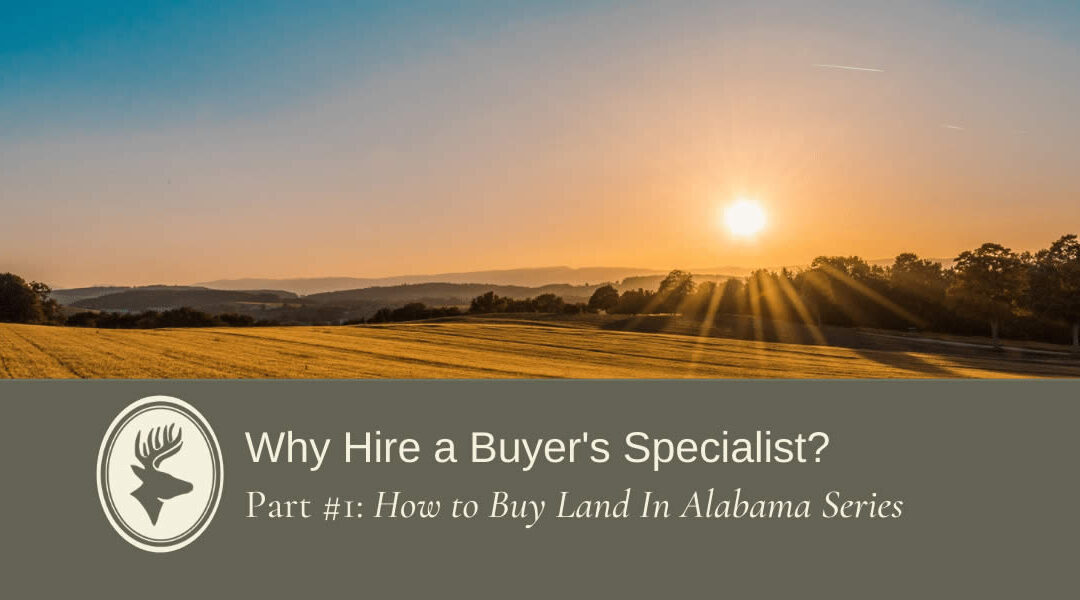 Why Hire A Buyer’s Specialist?