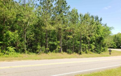 Evergreen Commercial Lot 2.67 ac – Conecuh County