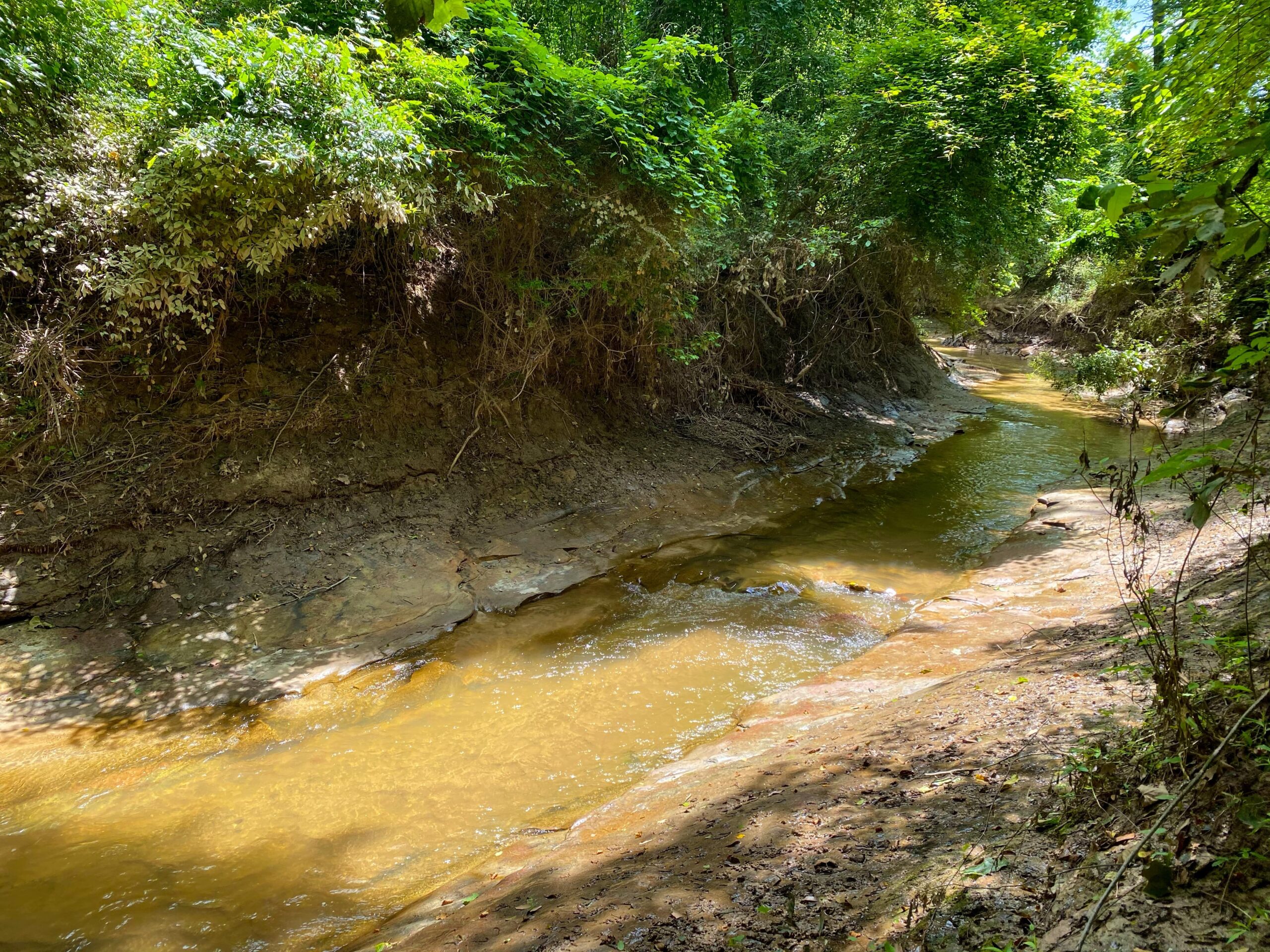 Tallapoosa River Orchard Land for Sale Alabama Land Company