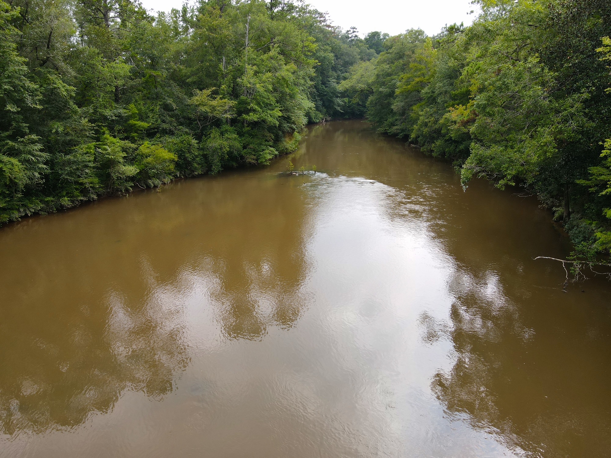 Sepulga River Tract - Land for Sale | Alabama Land Company
