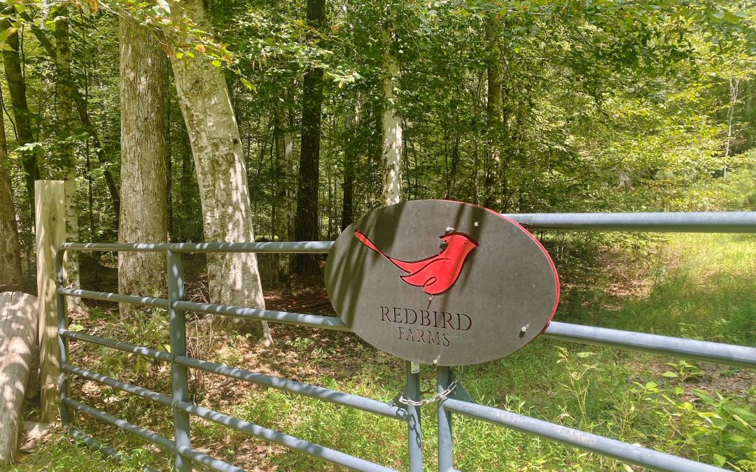 Redbird Farm