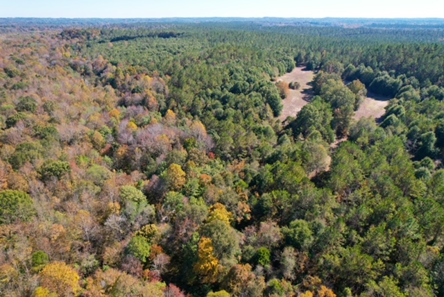 Sandy Ridge Tract