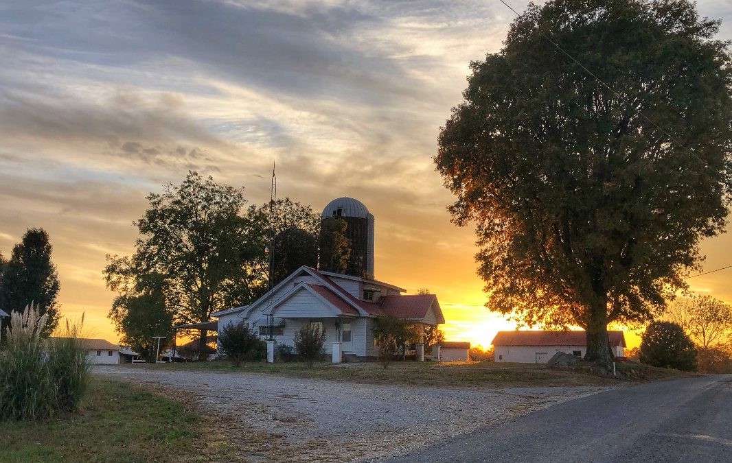 Adams Dairy Tract