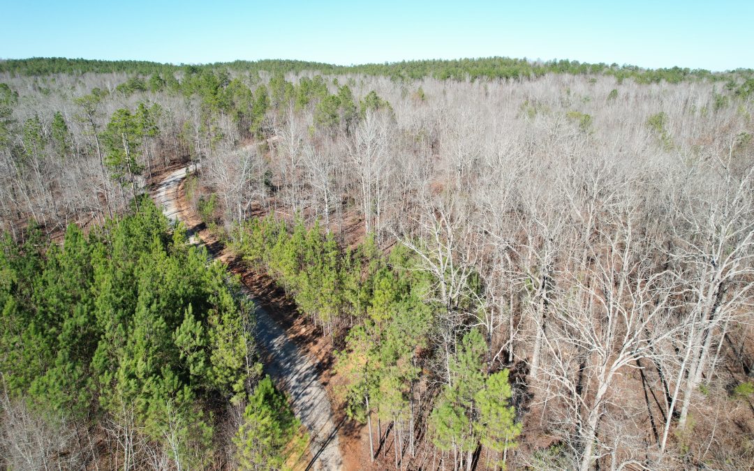 Deer Hollow Rd Tract