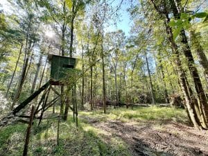 An important deer hunting tip is about stand placement.