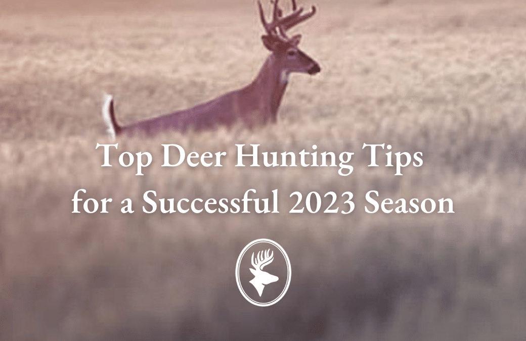 Top Deer Hunting Tips for a Successful 2023 Season