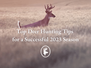 Top Deer Hunting Tips for a Successful 2023 Season