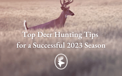 Top Deer Hunting Tips for a Successful 2023 Season