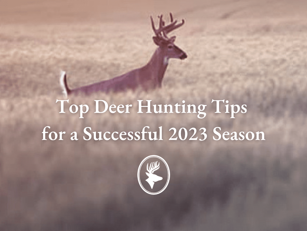 Top Deer Hunting Tips for a Successful 2023 Season - Land for Sale ...