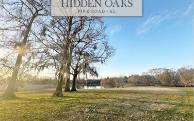 Hidden Oaks – Lot 11