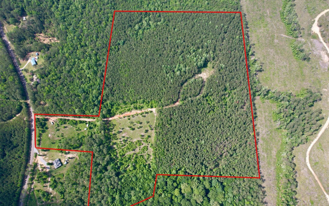 Brewer Tract