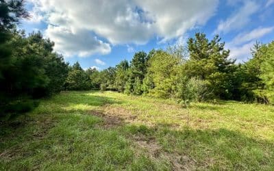 Beasley Tract