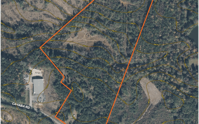 Beasley Tract