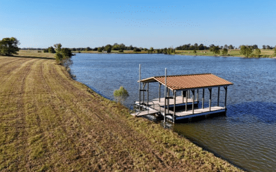 The Ivory Retreat