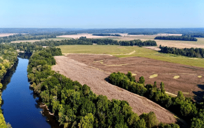 M & S River Farm