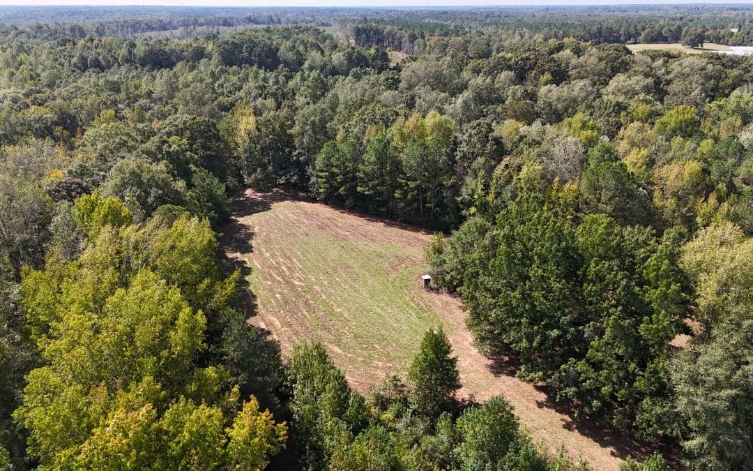 Porterfield Oaks 121 Ac